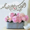 Avatar SOUHILA BOUKHMIS